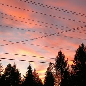 Meet your Posher, Jon